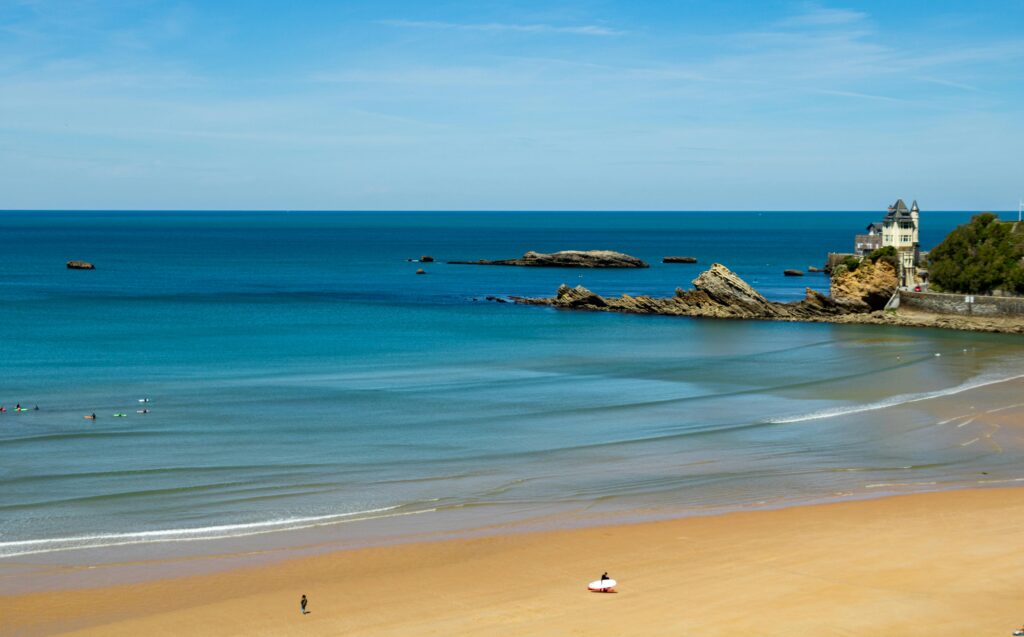 pexels mikael dubarry 2150052662 33782739