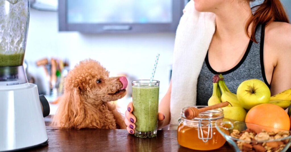 w 2019 11 19t123517.904