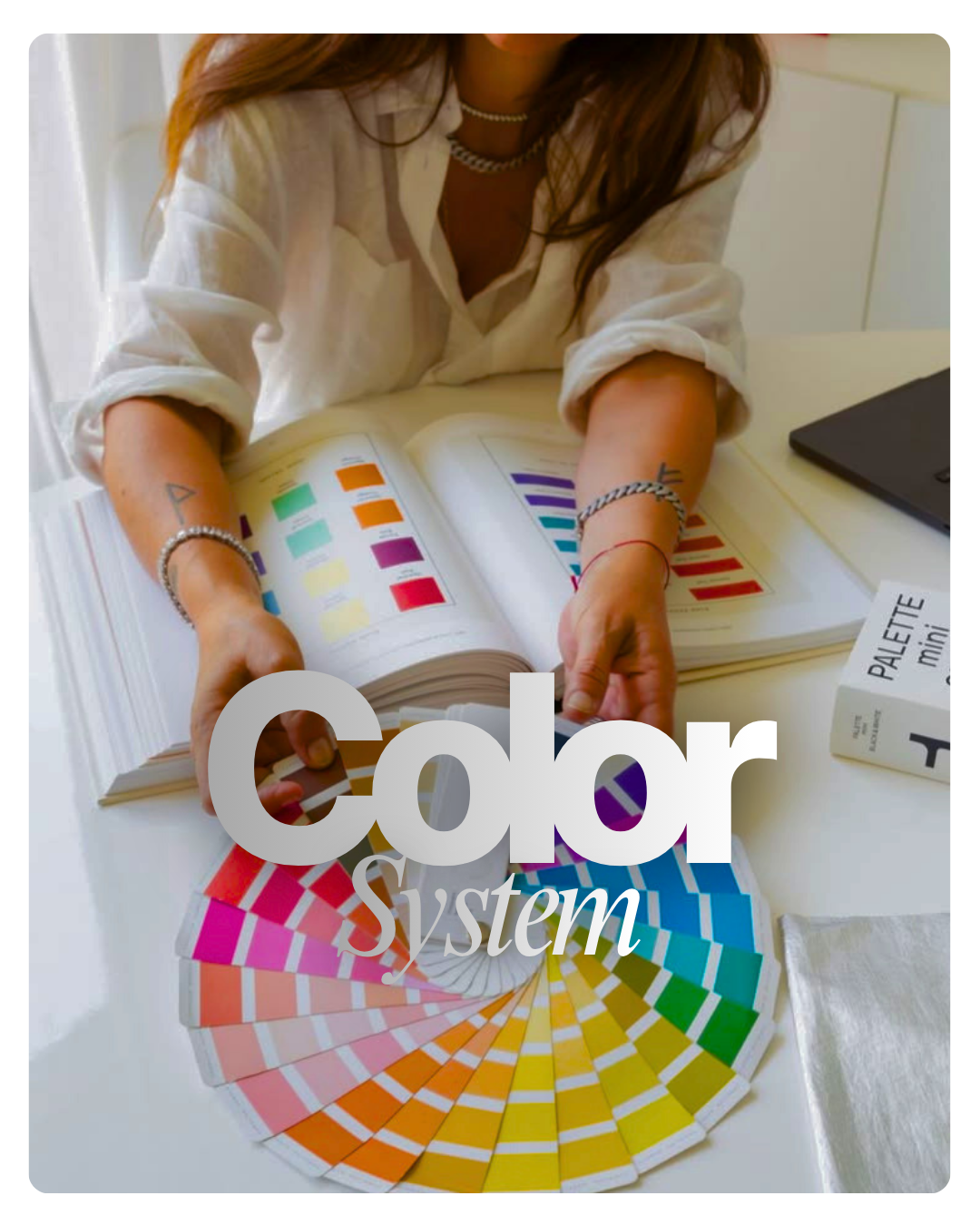 The Color System